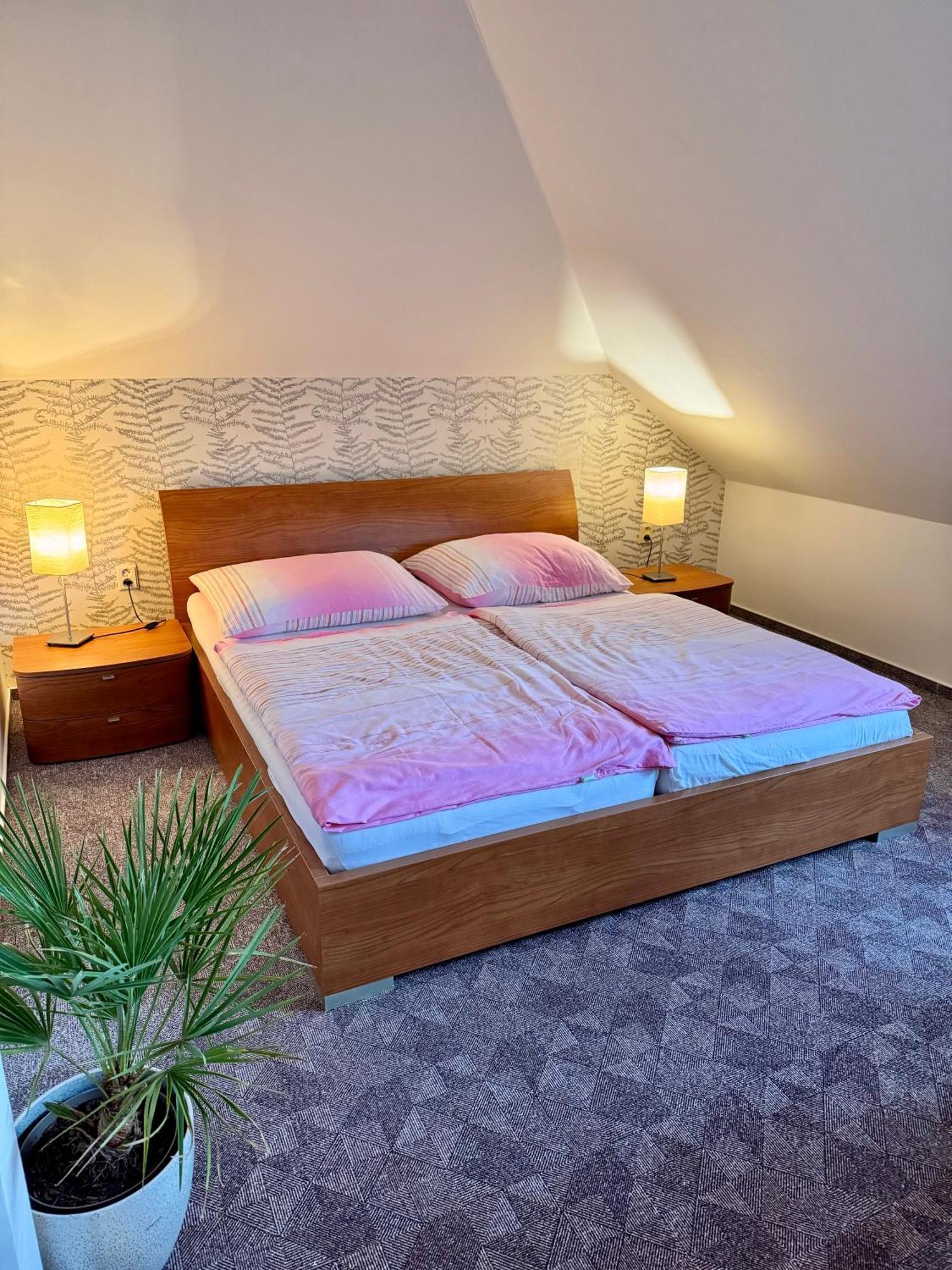 Modřice Ji Apartment מראה חיצוני תמונה