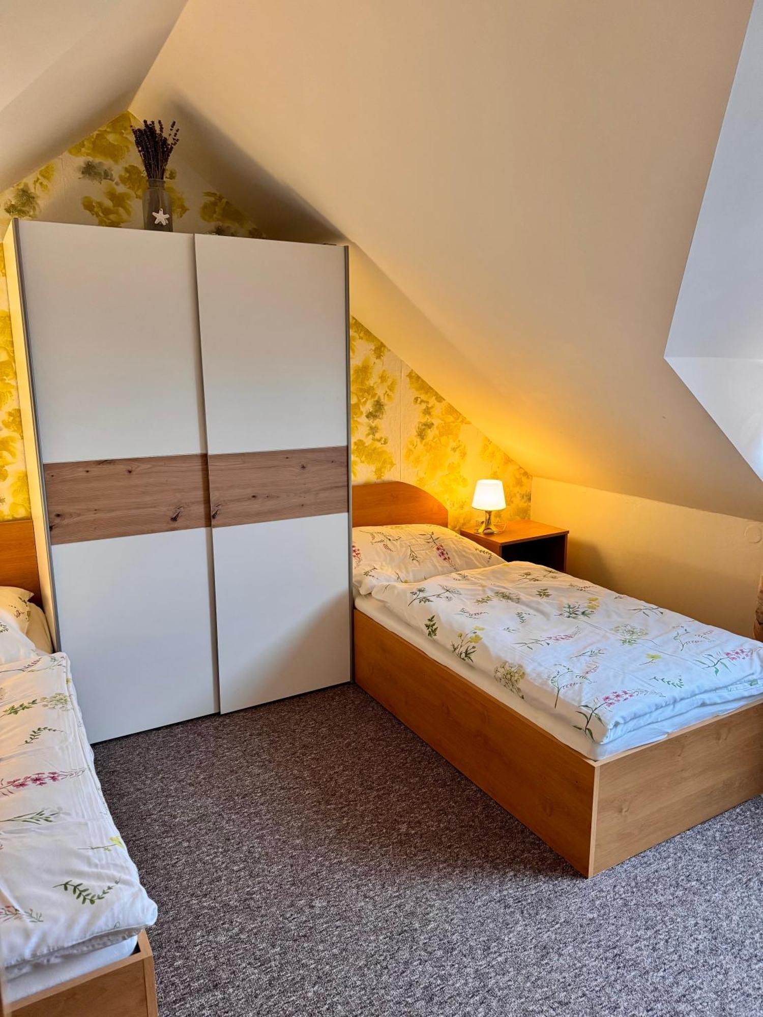 Modřice Ji Apartment מראה חיצוני תמונה